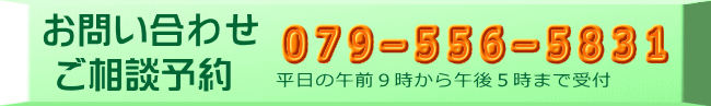 平日の午前９時から午後５時まで受付