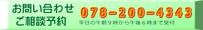 平日の午前９時から午後６時まで受付